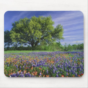 Tapis De Souris Chêne vivant et pinceau de Texas, et Texas