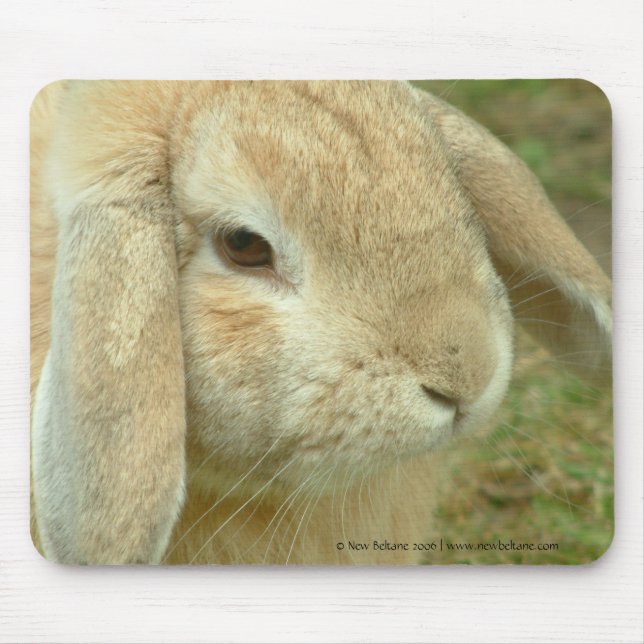 Tapis De Souris Chéri, Lapin Lop (Devant)