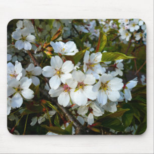 Tapis De Souris Cherry Blossom II