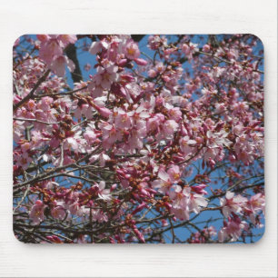 Tapis De Souris Cherry Blossoms et Blue Sky Spring Floral