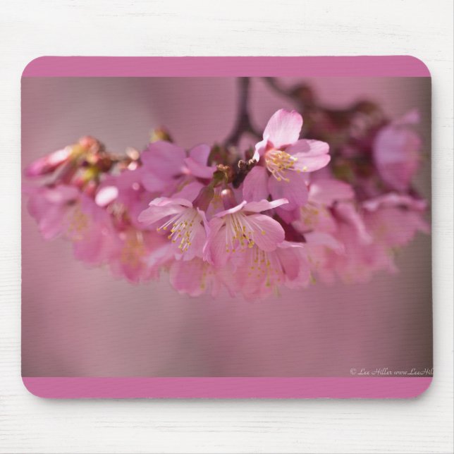 Tapis De Souris Cherry Blossoms Hot Spring 2012 Vêtements & Cadeau (Devant)