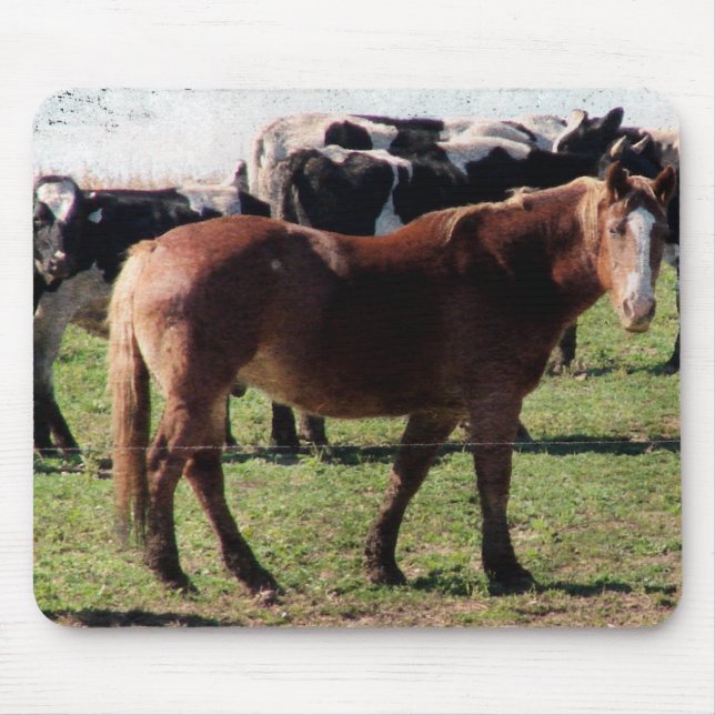Tapis De Souris Cheval belge et bétail laitier (Devant)