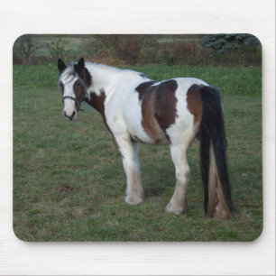 Tapis De Souris Cheval blanc Brown