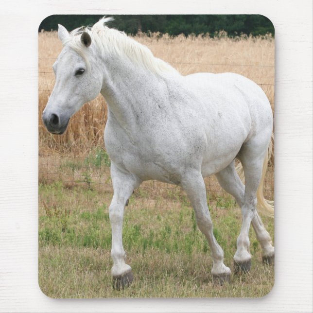 Tapis De Souris Cheval blanc tacheté (Devant)