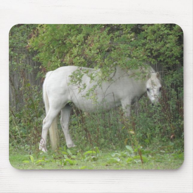 Tapis De Souris Cheval blanc timide Mousepad (Devant)