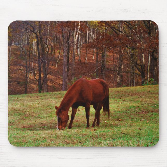 Tapis De Souris Cheval Brown avec nez blanc au bord des bois (Devant)