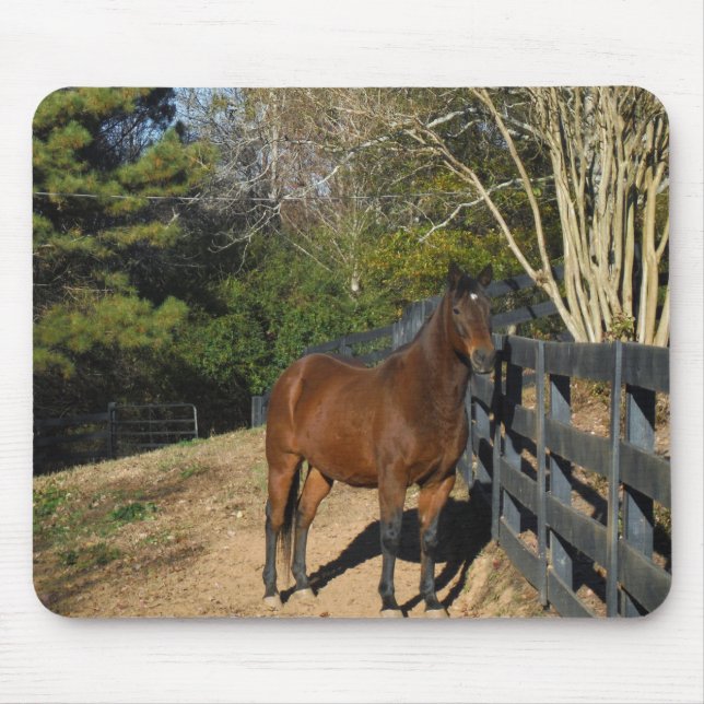 Tapis De Souris Cheval Brown contre une clôture (Devant)