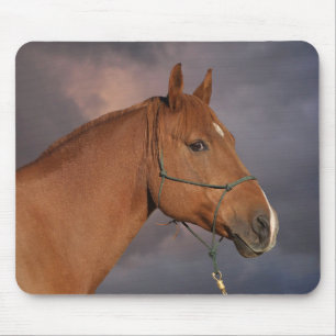Tapis De Souris Cheval Brown de châtaignes de l'Ouest