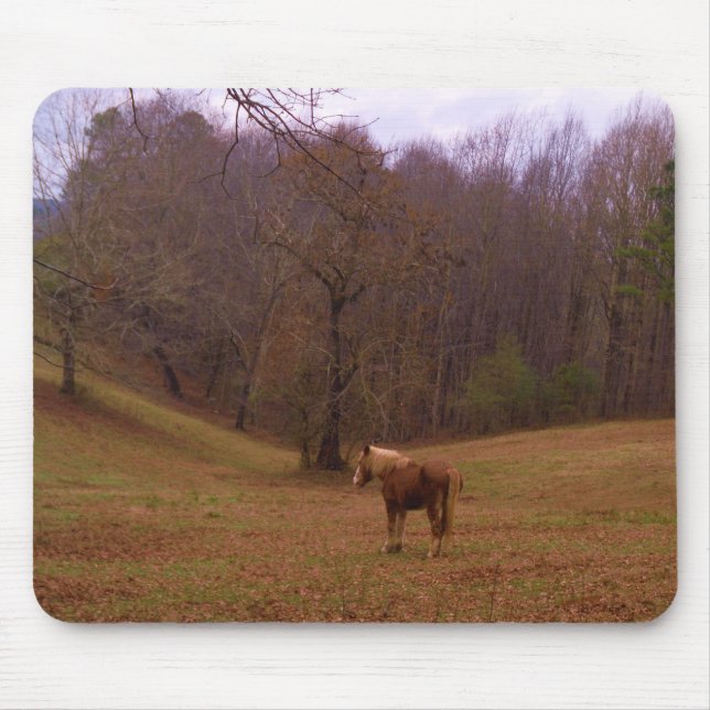 Tapis De Souris Cheval Brown et blond dans un champ (Devant)
