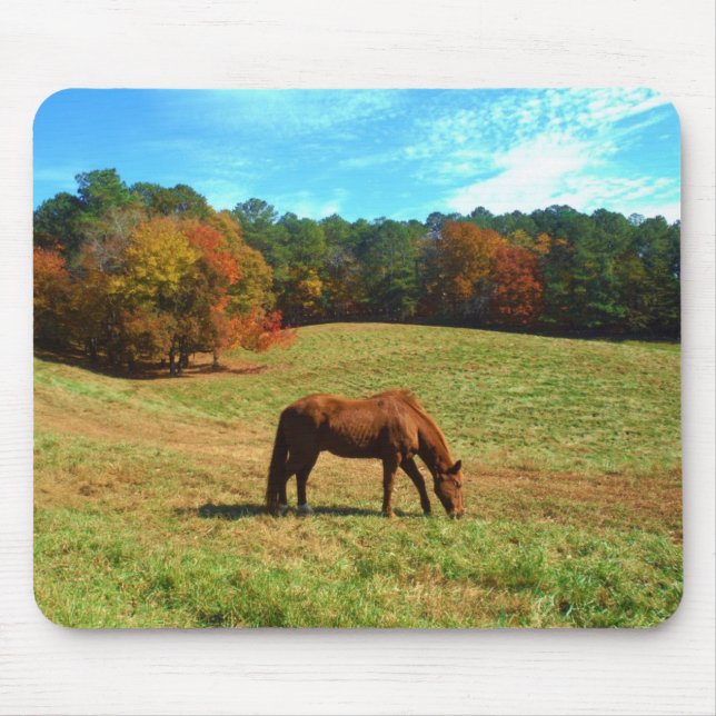 Tapis De Souris Cheval Brown rouge, ciel bleu Turquoise (Devant)