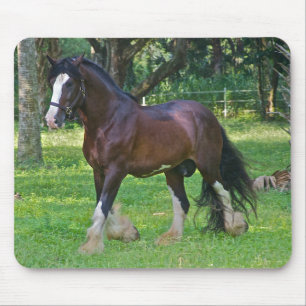 Tapis De Souris Cheval Clydesdale