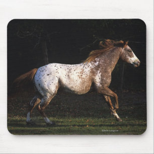 Tapis De Souris Cheval d'Appaloosa courant 4