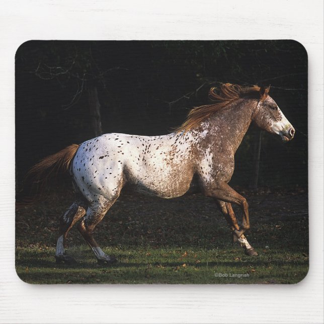 Tapis De Souris Cheval d'Appaloosa courant 4 (Devant)
