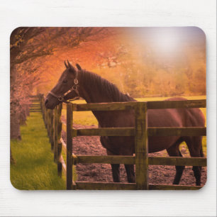 Tapis De Souris Cheval d'automne