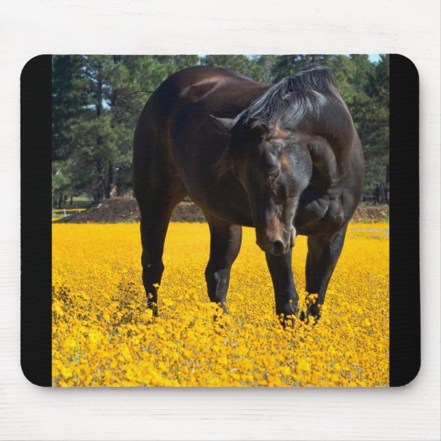 Tapis De Souris Cheval de baie dans un champ de fleurs jaunes (Devant)