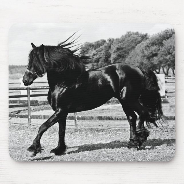 Tapis De Souris Cheval de beauté noire (Devant)