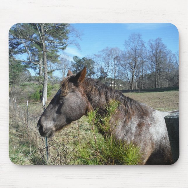 Tapis De Souris Cheval de couleur Coco et Crème (Devant)