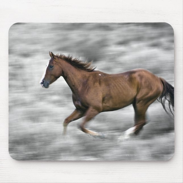 Tapis De Souris Cheval de course (Devant)
