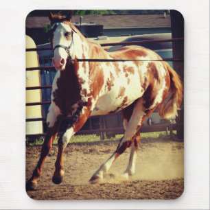 Tapis De Souris Cheval de peinture