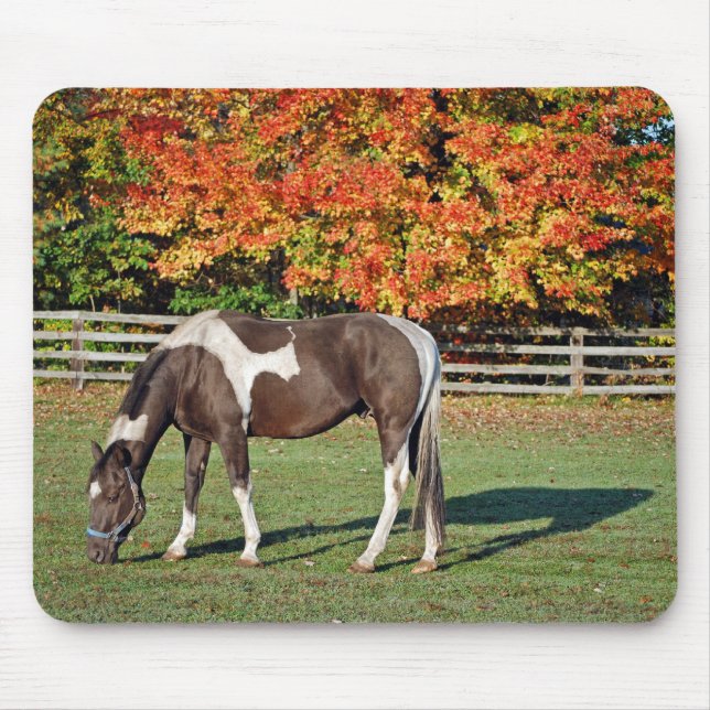 Tapis De Souris Cheval de peinture dans les pâturages d'automne (Devant)