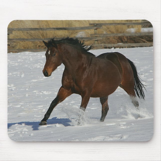 Tapis De Souris Cheval de pur sang fonctionnant dans la neige (Devant)
