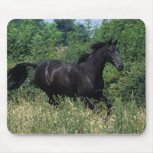 Tapis De Souris Cheval de pur sang fonctionnant dans l'herbe (Devant)
