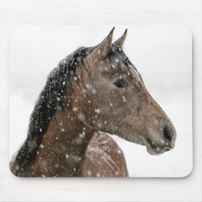 Tapis De Souris Cheval en hiver (Devant)