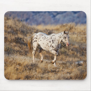 Tapis De Souris Cheval errant dans les collines panoramiques de Bi