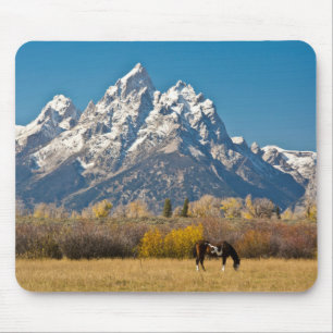 Tapis De Souris Cheval et Grand Tetons, Moose Head Ranch