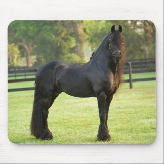 Tapis De Souris Cheval friésien noir