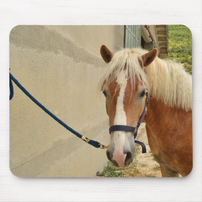 Tapis De Souris Cheval Haflinger (Devant)