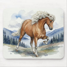 Cheval islandais Edda Silver bay dans les montagne