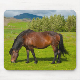 Tapis De Souris Cheval islandais Mossfellsbaer