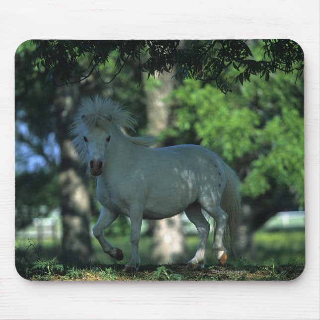 Tapis De Souris Cheval miniature se tenant dans les arbres (Devant)