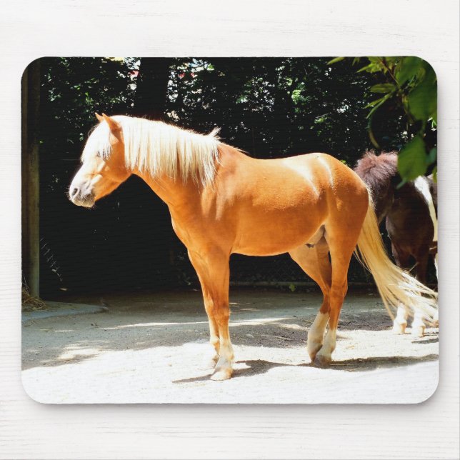 Tapis De Souris cheval Palomino (Devant)