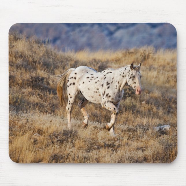 Tapis De Souris Cheval Parcourir les collines Pittoresques de la G (Devant)