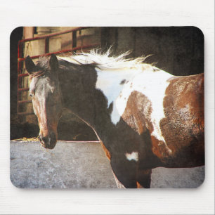 Tapis De Souris Cheval Pinto