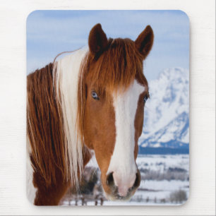 Tapis De Souris Cheval Pinto mont Moran en hiver
