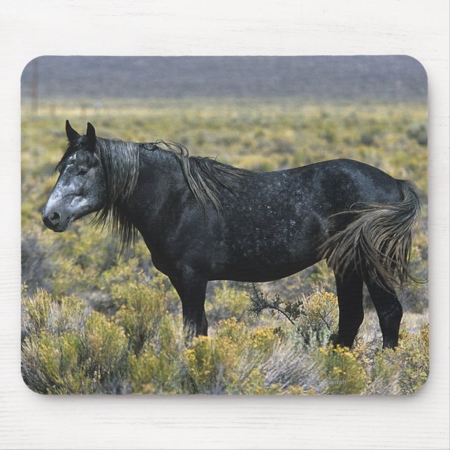 Tapis De Souris Cheval sauvage de mustang dans le désert (Devant)