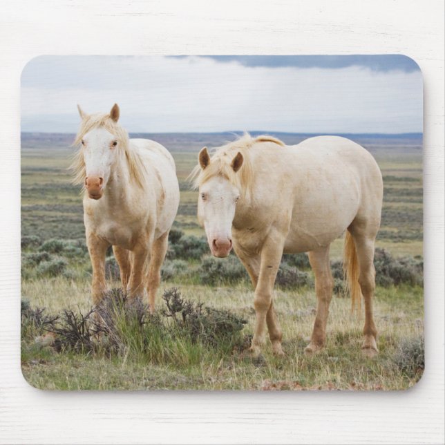 Tapis De Souris Cheval sauvage en itinérance sur le Priaire de Cod (Devant)