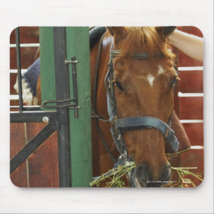 Tapis De Souris Cheval se tenant dans une écurie