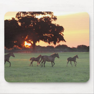 Tapis De Souris Cheval Sunset Art Mousepad