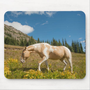Tapis De Souris Cheval sur les herbes dans une prairie alpine en é