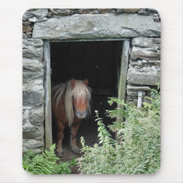 TAPIS DE SOURIS CHEVAUX (Devant)