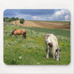 Tapis De Souris Chevaux