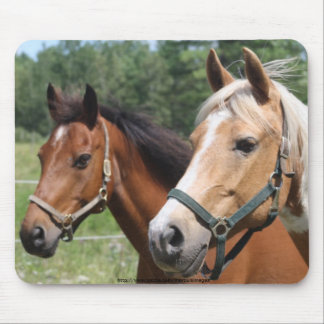 Tapis De Souris Chevaux