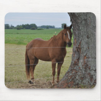 Tapis De Souris Chevaux