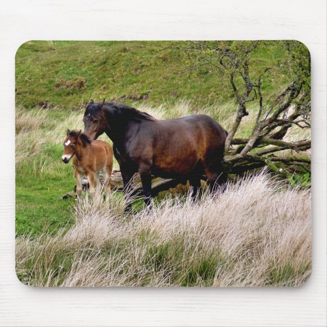 TAPIS DE SOURIS CHEVAUX (Devant)