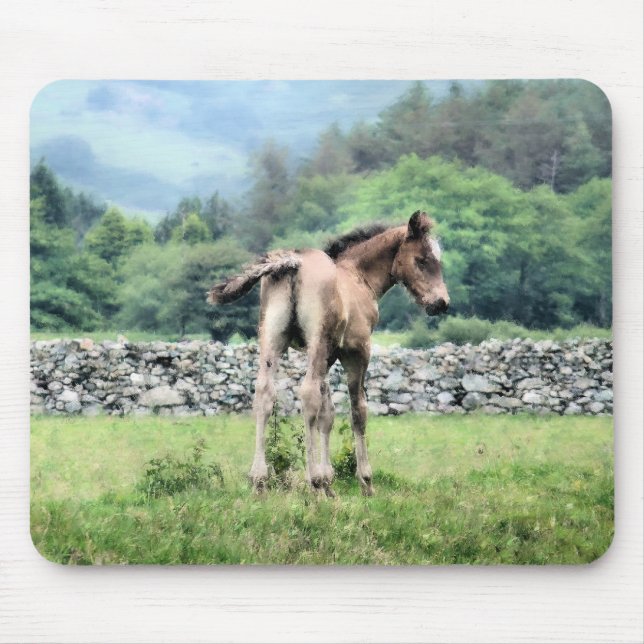 TAPIS DE SOURIS CHEVAUX (Devant)