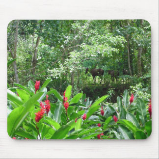 Tapis De Souris Chevaux dans le paradis